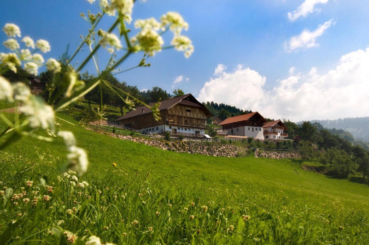 Апартаменты Wargerhof - Urlaub Auf Dem Bauernhof Мельтина Экстерьер фото