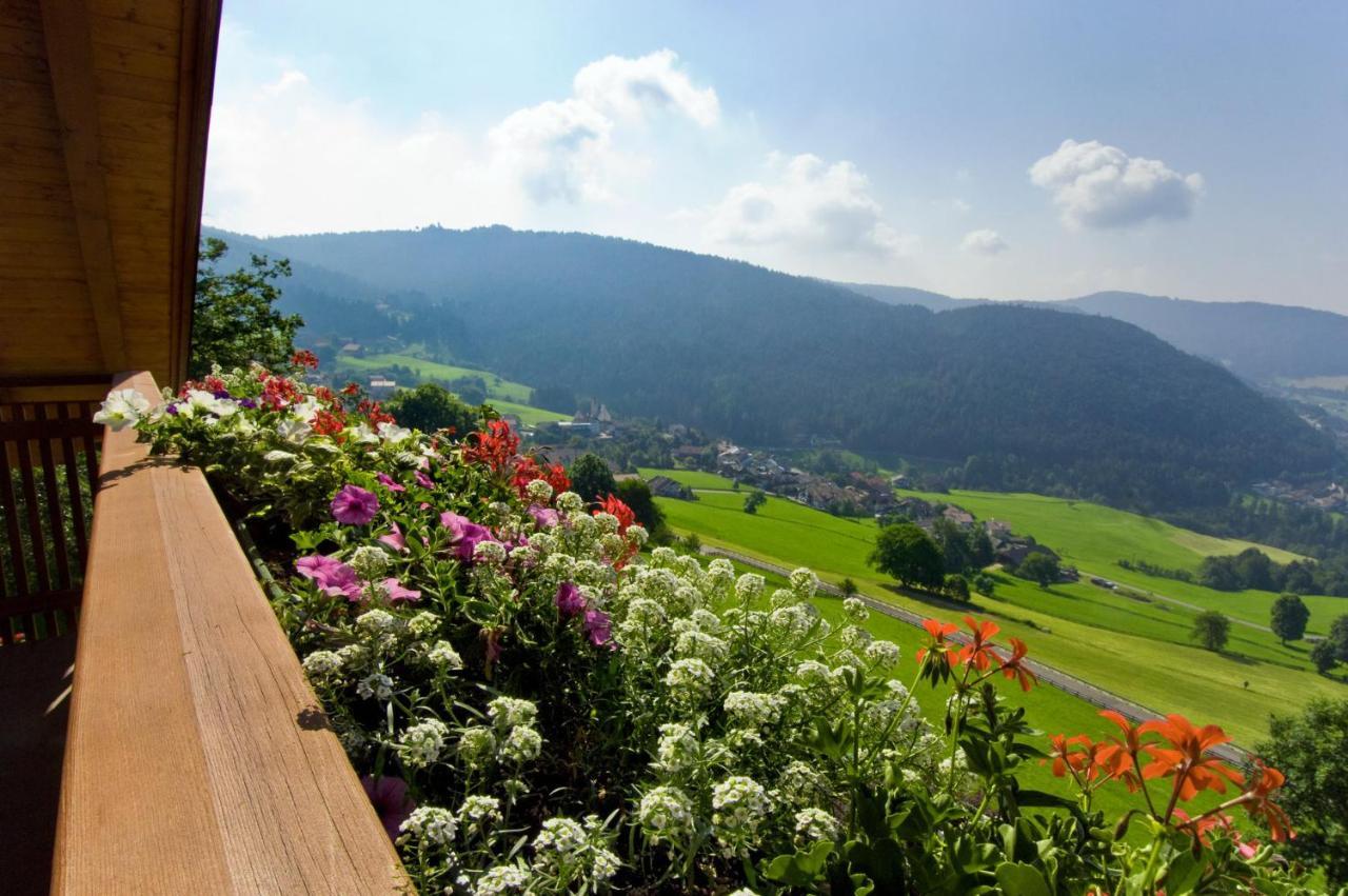 Апартаменты Wargerhof - Urlaub Auf Dem Bauernhof Мельтина Экстерьер фото